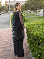 Quzey Festive MMM - AN-159