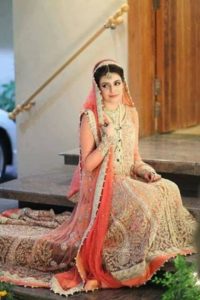 Pakistani Designer Dress Collection