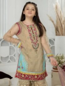 Pakistani girls Formal Khaki gharara
