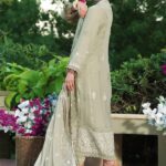 Tana Chiffon Embroidered Dress (3)