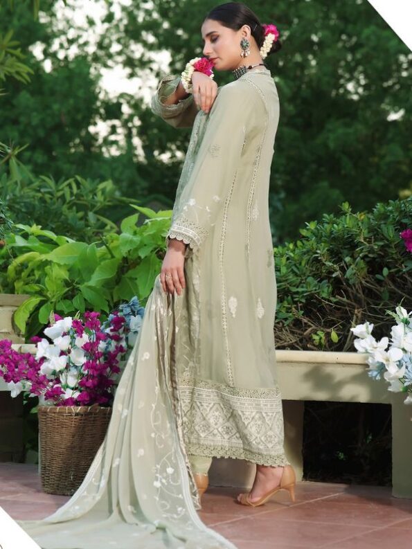 Tana Chiffon Embroidered Dress