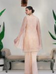 Peach Formal Dress – Ain