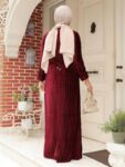 Quzey Velvet Dress – Claret Red