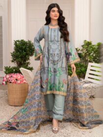 Quzey DSZC 2456 - Grey