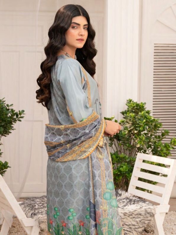 Quzey DSZC 2456 - Grey