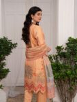 Quzey DSZC 2456 – Peach